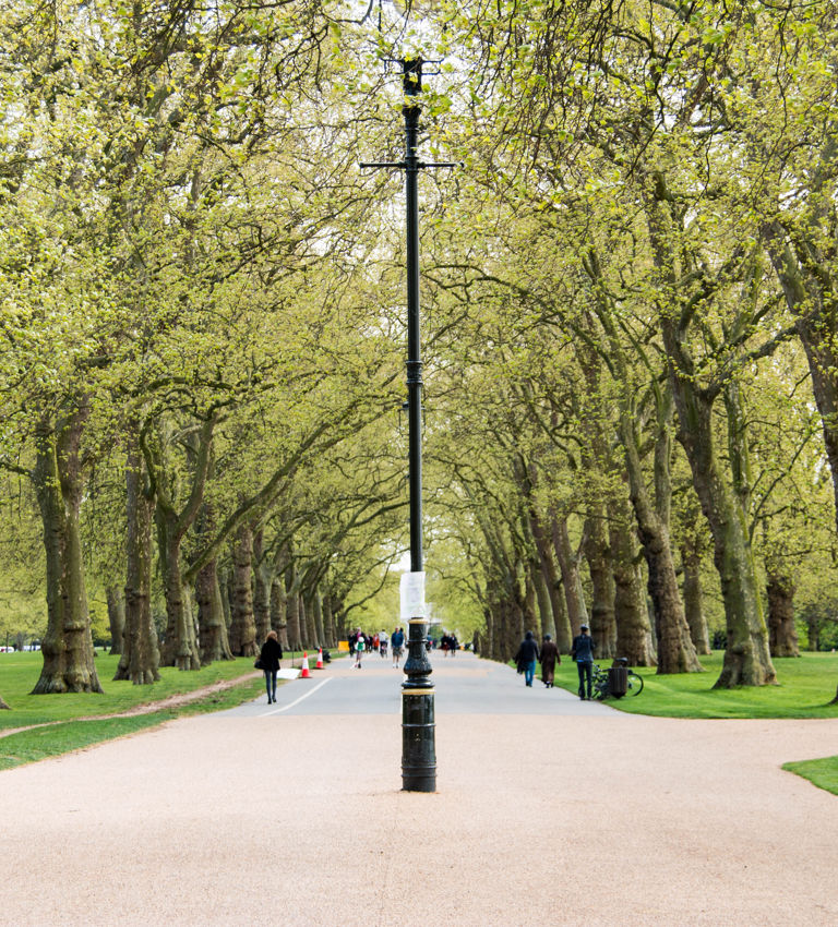 Spring in Hyde Park, London Spring in Hyde Park, London