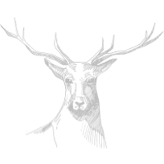 Deer Head illustration