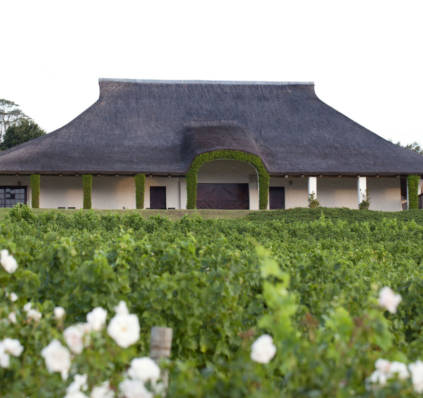 Boucahrd Finlayson Cellar with Roses in the Foreground Boucahrd Finlayson Cellar with Roses in the Foreground